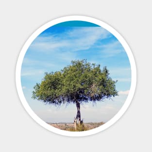 Africa Tree in Landscape Magnet